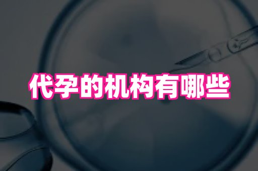 长春助孕网站 4